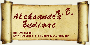 Aleksandra Budimac vizit kartica